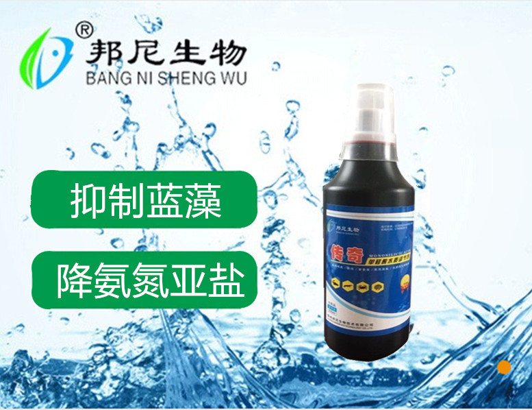 傳奇